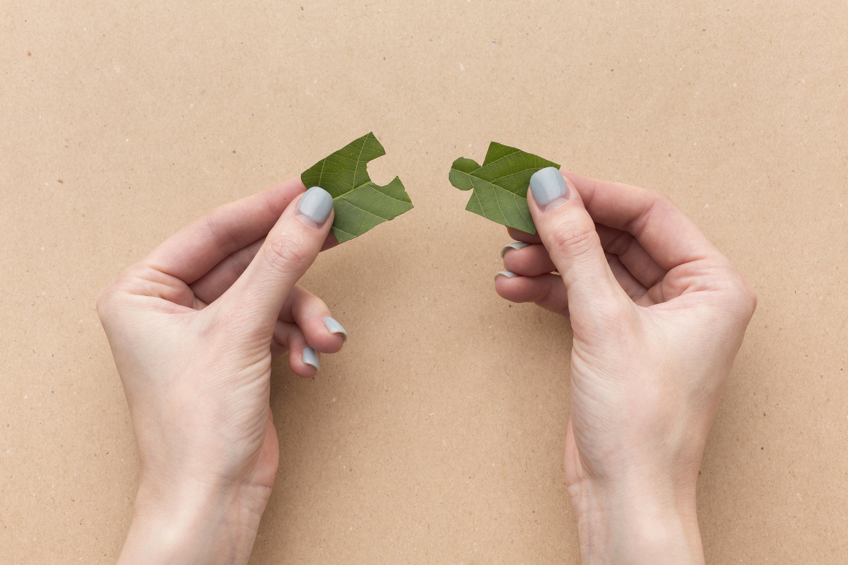 Comprendre la neuroatypie : un autre regard sur les différences neurologiques