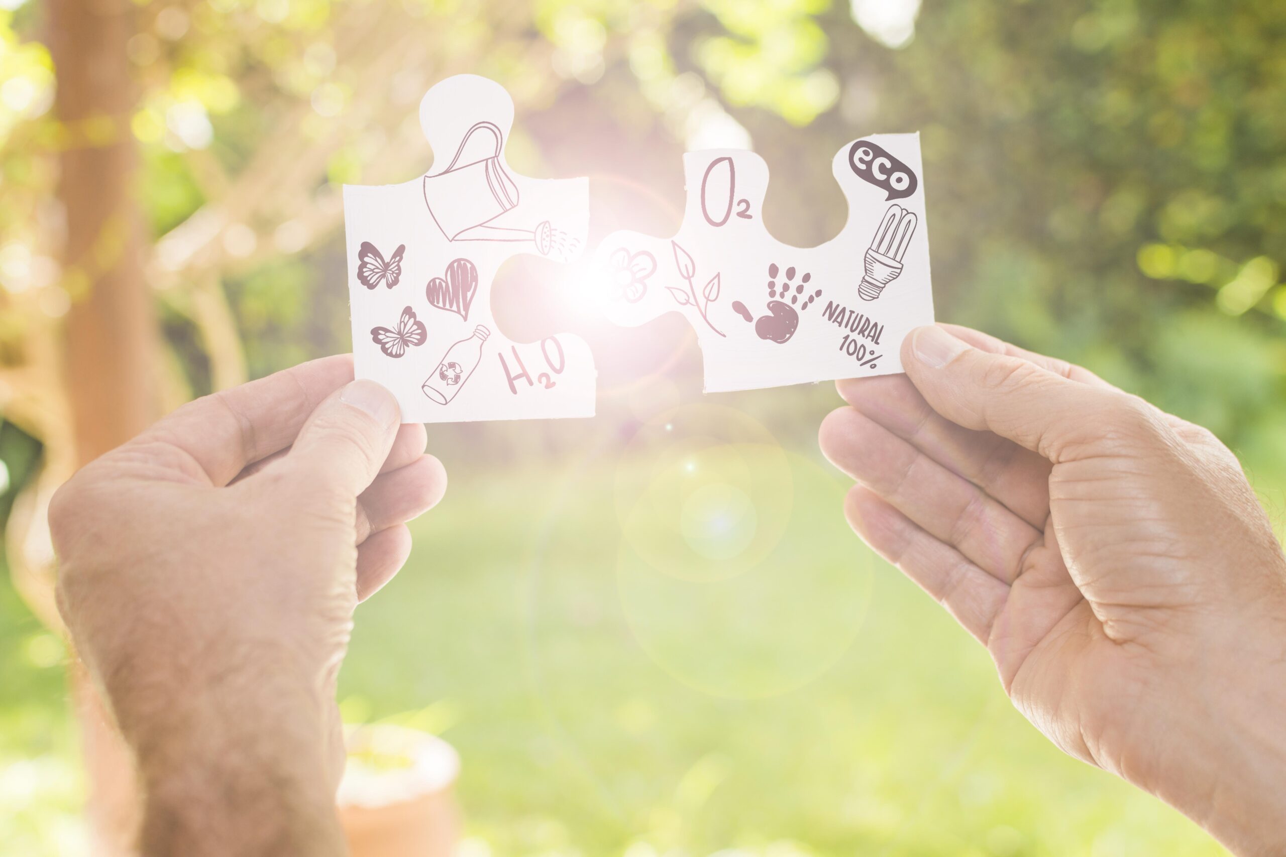 Exercice : Identifier les valeurs qui guident votre vie